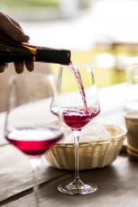 7. Goście, degustacje, wina niepozowane (3)